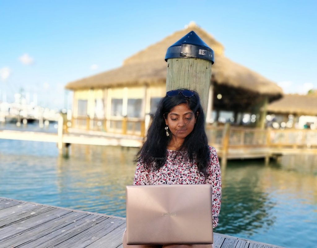 working and blogging on laptop with cottage and sea background