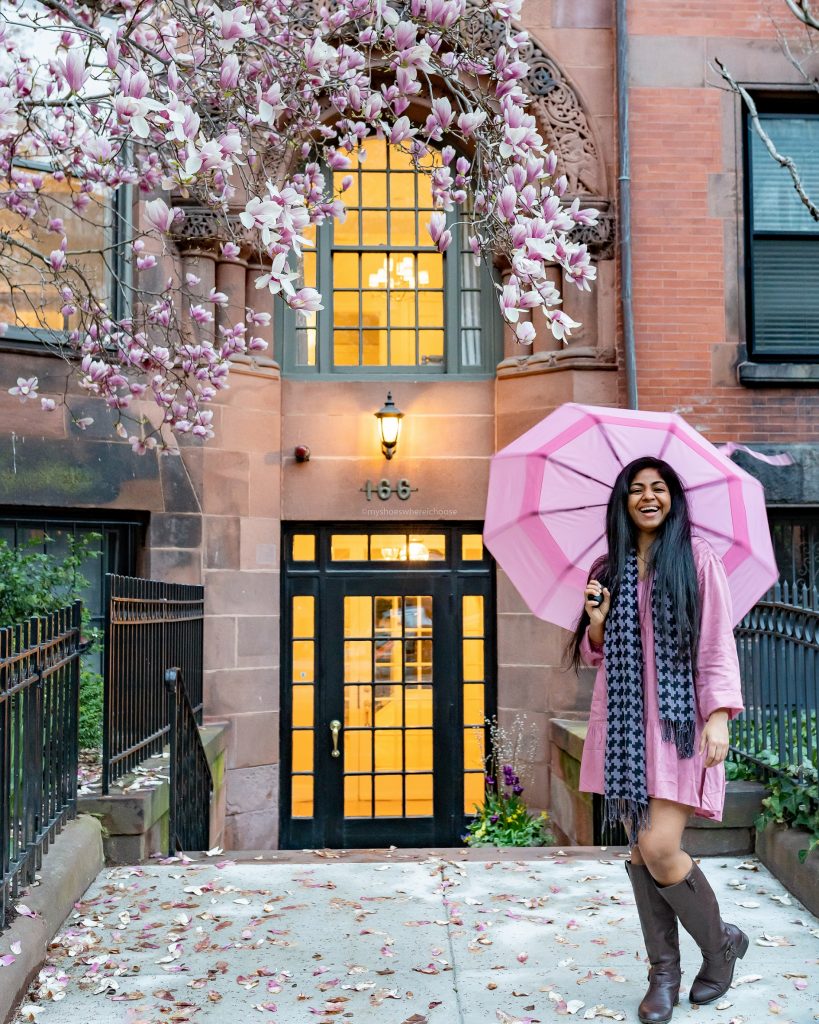 Back Bay, Boston during spring blossom photoshoot