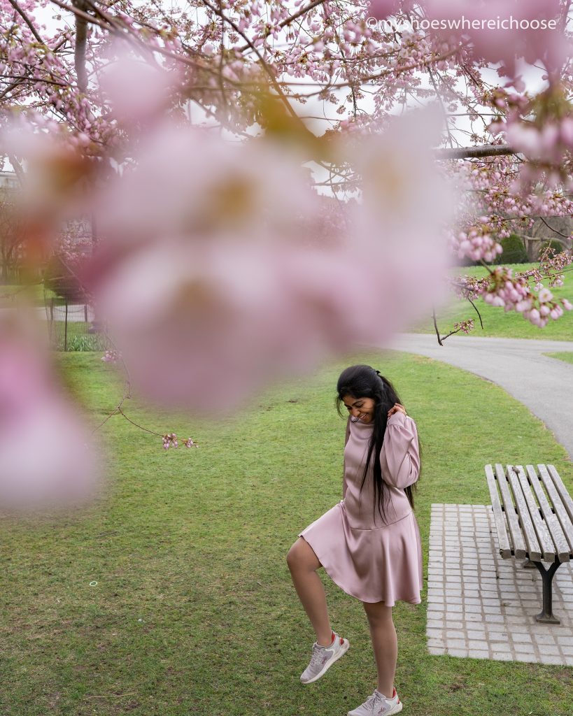 Boston Public Garden during the month of April - spring blossom photoshoot