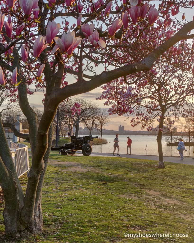 Sunset at Charles River Esplanade - 
Instagrammable place in Boston