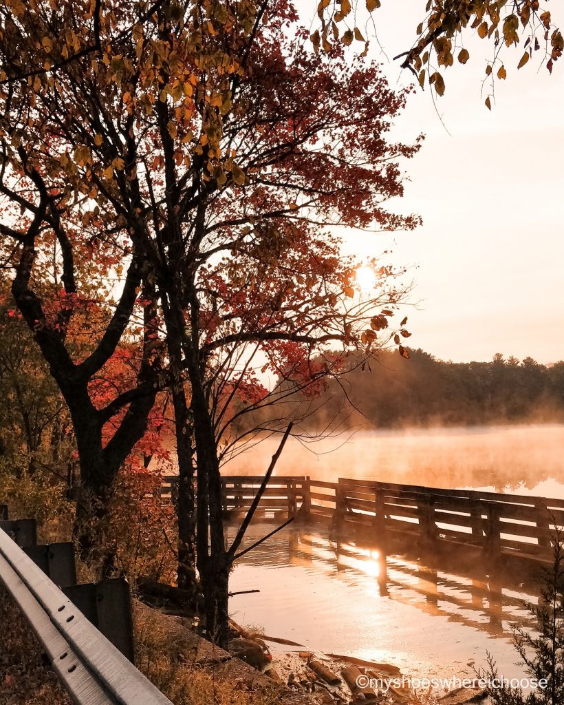 water body with fog during Fall
