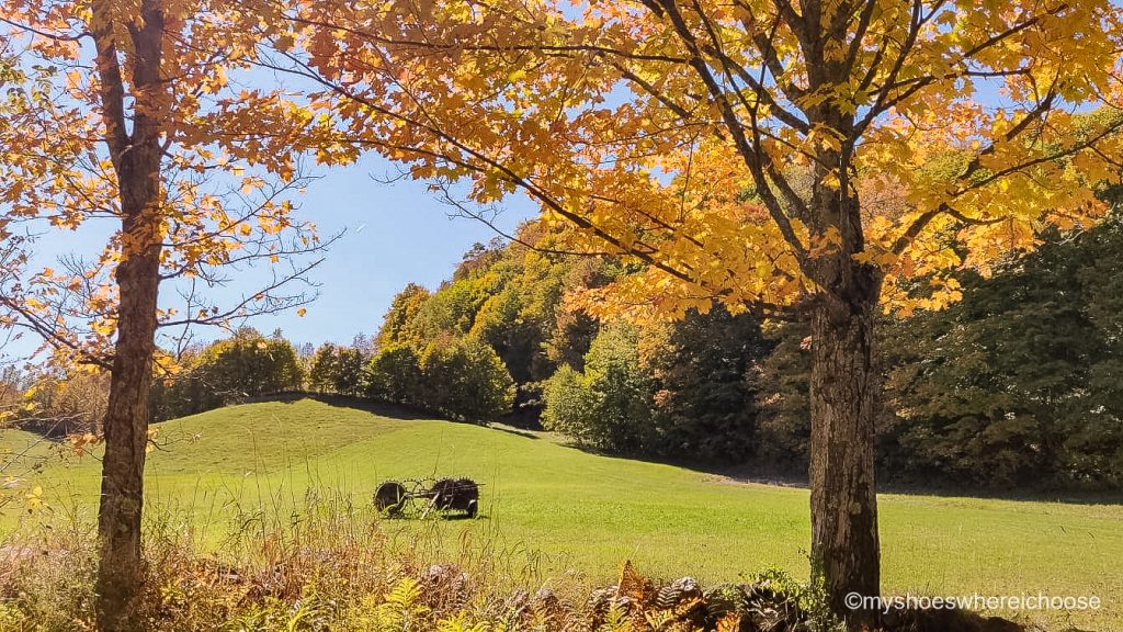 fall photoshoot location - farm