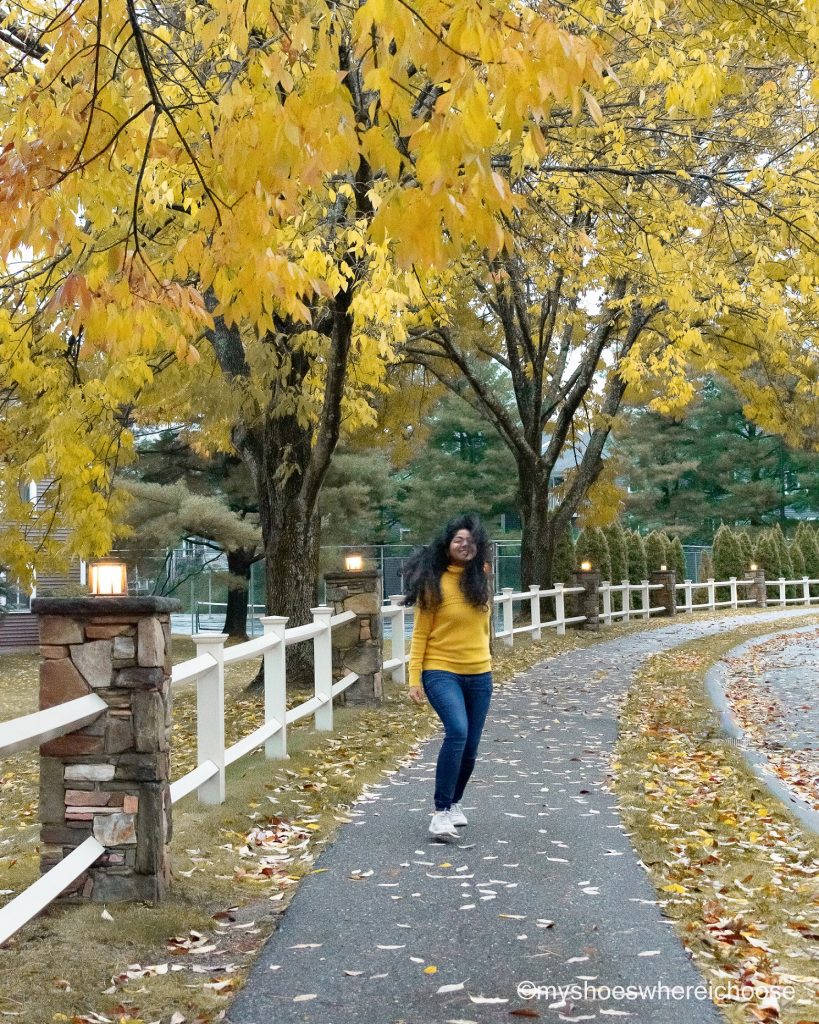 girl in a yellow sweater in autumn with yellow foliage