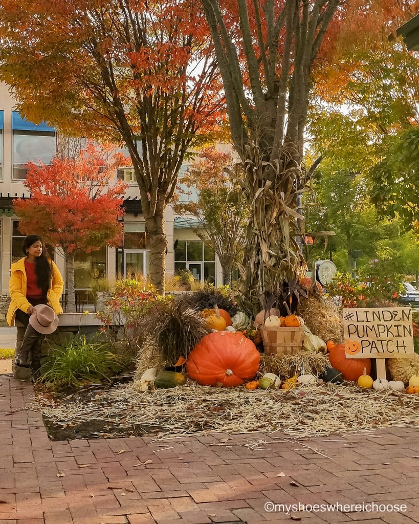 fall photoshoot location - pumpkin patch
