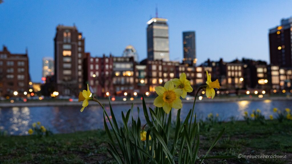 Boston skyline view from Charles River Esplanade