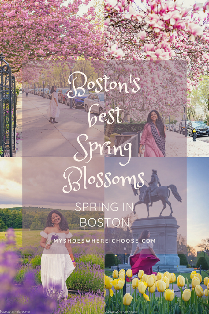 Spring in Boston - Boston's best spring blossoms pin