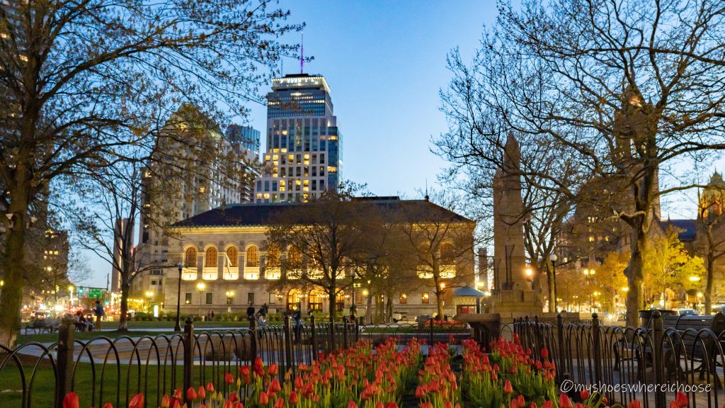 Tulips in Boston and the Prudential Tower